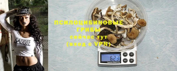 трава Зеленодольск