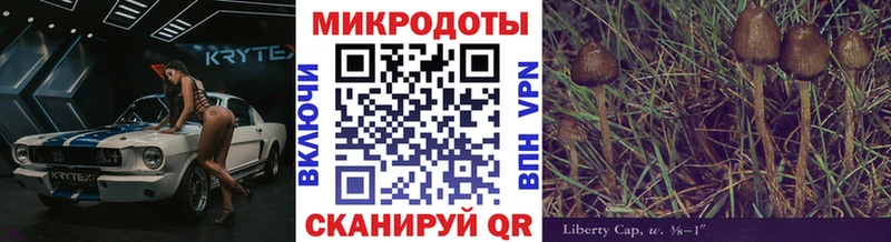 Купить  Тулун  Галлюциногенные грибы GOLDEN TEACHER 